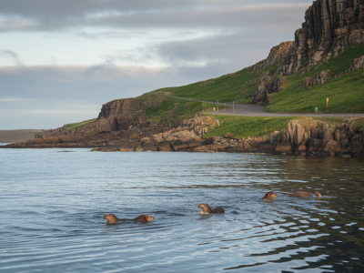 Which short coastal loop from Hillside Durness Co finds the best otter sightings between Camel Haugh and Balnakeil